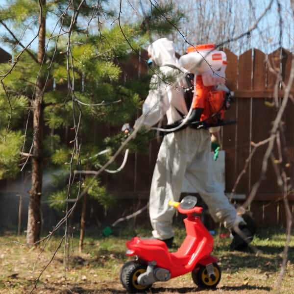 Обработка участка от клещей в Бобруйске?